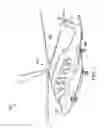 Fig. 02 - Method for fastening