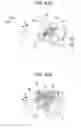 Fig. 09 - Drum cylinder unit, method for attaching coupling member, and drum unit