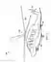 Fig. 02 - High Speed Engine Reduction Gearboxes