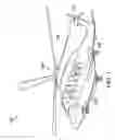 Fig. 02 - Redundant fans for cooling system