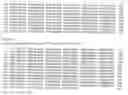 Fig. 04 - Compilation of detection reagents, in-vitro method for detecting mutated leptin, and use of a detection reagent