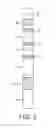 Fig. 04 - Pregnancy test device and method