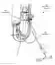 Fig. 01 - Passive intermodulation (PIM) probe