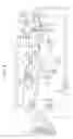 Fig. 07 - Image forming apparatus