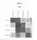 Fig. 06 - Cross-well allocation optimization in steam assisted gravity drainage wells