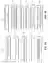 Fig. 02 - Purging storage partitions of databases