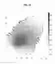 Fig. 16 - Techniques for fine grained correction of count bias in massively parallel DNA sequencing