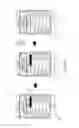 Fig. 10 - Using biometric verification to grant access to redacted content