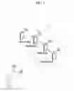 Fig. 02 - Apparatus and method for transmitting personal information in individually unidentifiable way