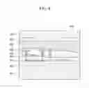 Fig. 07 - Capacitive fingerprint sensor