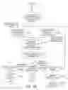 Fig. 08 - Methods and systems for verifying customer supplied financial account information using debit and credit transactions