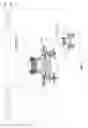 Fig. 02 - Fixed size scope overlay for digital images