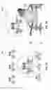 Fig. 03 - Fixed size scope overlay for digital images