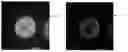 Fig. 01 - IMAGE DEBLURRING WITH A MULTIPLE SECTION, REGULARIZATION TERM