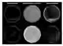 Fig. 01 - Colony contrast gathering