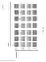 Fig. 43 - Layered content delivery for virtual and augmented reality experiences