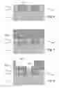 Fig. 03 - Integrated circuit having a plurality of active layers and method of fabricating the same