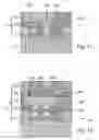 Fig. 06 - Integrated circuit having a plurality of active layers and method of fabricating the same