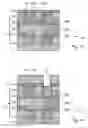 Fig. 07 - Integrated circuit having a plurality of active layers and method of fabricating the same