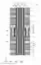 Fig. 30 - Integrated circuit device and method for manufacturing same