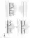 Fig. 32 - Detector, PET system and X-ray CT system