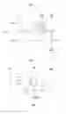 Fig. 03 - Organic light emitting display device including moisture-transmission delay layer which covers edges of lines