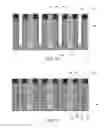 Fig. 09 - FinFET devices