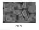 Fig. 06 - HIGH CAPACITY BATTERY ELECTRODE STRUCTURES