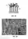 Fig. 08 - HIGH CAPACITY BATTERY ELECTRODE STRUCTURES