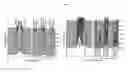 Fig. 02 - High performance layered cathode materials for high voltage sodium-ion batteries