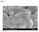 Fig. 07 - Positive electrode active material for lithium secondary battery, method for preparing the same, and secondary battery including the same
