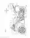 Fig. 02 - Accessory socket structure of saddled vehicle