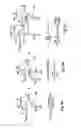 Fig. 05 - Feedback compensated oscillator