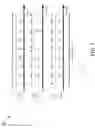 Fig. 08 - Bandwidth group (BWG) for enhanced channel and interference mitigation in 5G new radio