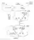 Fig. 06 - Methods for network configuration sharing