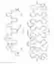 Fig. 07 - Conformal electronics including nested serpentine interconnects