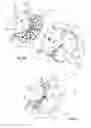 Fig. 09 - Pneumatic element for an agricultural tool comprising a rigid base