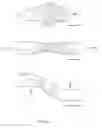 Fig. 02 - BIOMECHANICS AWARE HEADGEAR