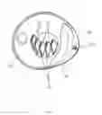 Fig. 04 - MICROWAVE MUG COOKER DEVICE