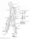Fig. 02 - Methods of exoskeleton communication and control