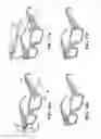 Fig. 07 - Determining a state of a user based on thermal measurements of the forehead