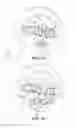 Fig. 02 - Selecting a stressor based on thermal measurements of the face