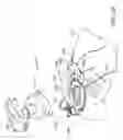 Fig. 08 - Maintaining active compression decompression device adherence