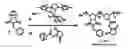 Fig. 01 - ENZYME-RESPONSIVE NANOPARTICLES
