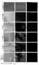 Fig. 06 - ENZYME-RESPONSIVE NANOPARTICLES