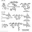 Fig. 07 - ENZYME-RESPONSIVE NANOPARTICLES