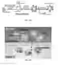 Fig. 02 - Platelet-like proteo-microparticles and method of using such in drug delivery