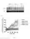 Fig. 07 - Use of atpenin to activate innate immunity