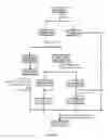 Fig. 02 - Composition for amelioration of peri- and post-menopausal symptoms and a process for producing the same
