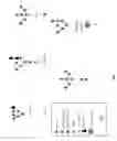 Fig. 02 - COMPOSITIONS AND METHODS FOR DIAGNOSING AND TREATING MACROPHAGE-RELATED DISORDERS USING CARBOHYDRATE-BASED MACROMOLECULAR CARRIER